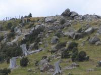 Albums/20060200-New Zealand 2006/20060203-Banks_Akaroa/5